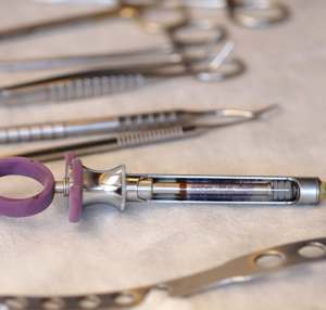 Por que a Odontologia Básica Ainda É a Melhor Forma de Começar