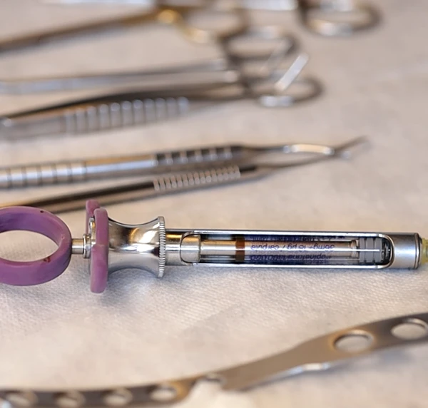 Odontologia básica: a base preventiva de qualquer tratamento dentário